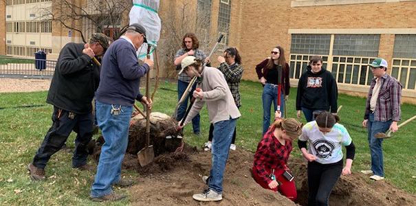 学生和工作人员在草地上挖了一个洞来种树
